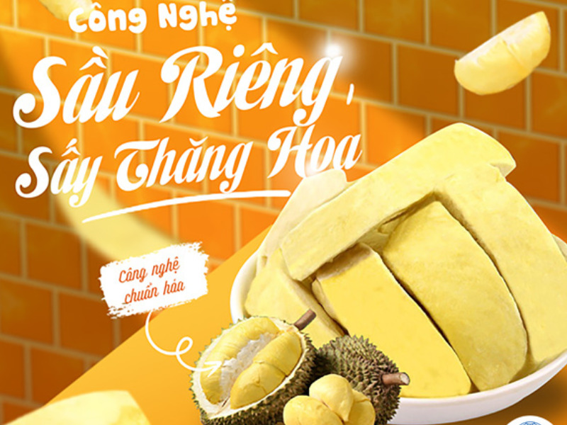 Sầu riêng sấy thăng hoa miếng