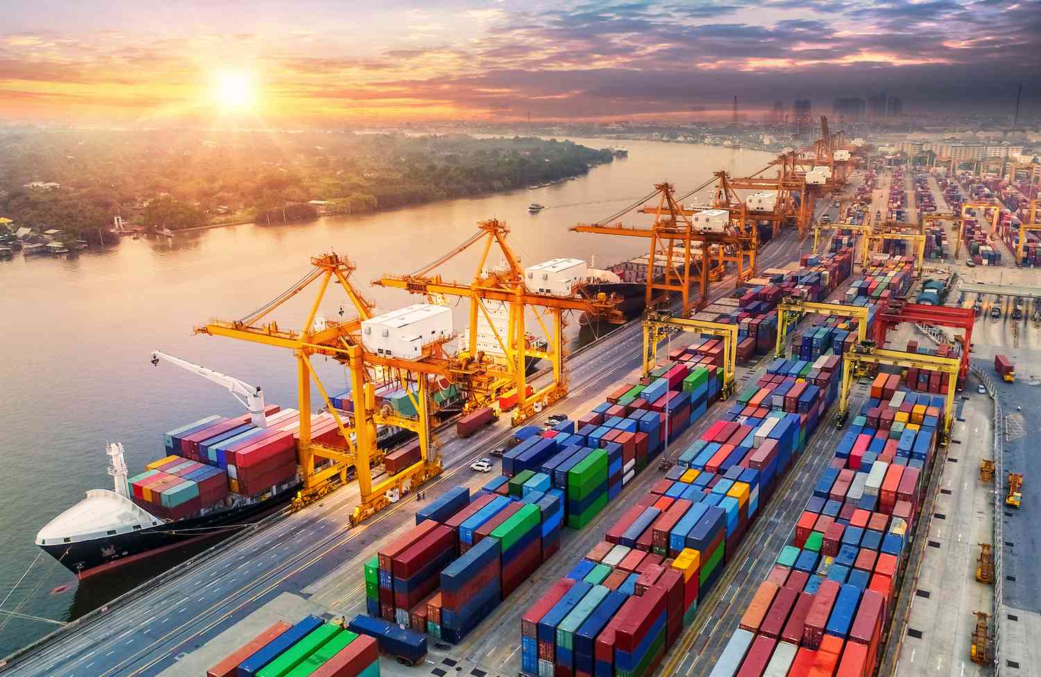 Xuất khẩu vào thị trường Nhật Bản