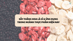 ứng dụng của công nghệ sấy thăng hoa