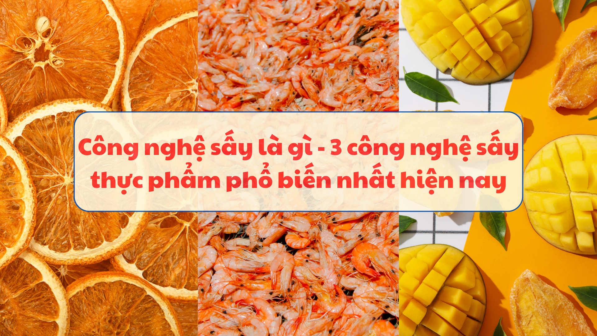 Công nghệ sấy là gì – 3 công nghệ sấy thực phẩm phổ biến nhất hiện nay