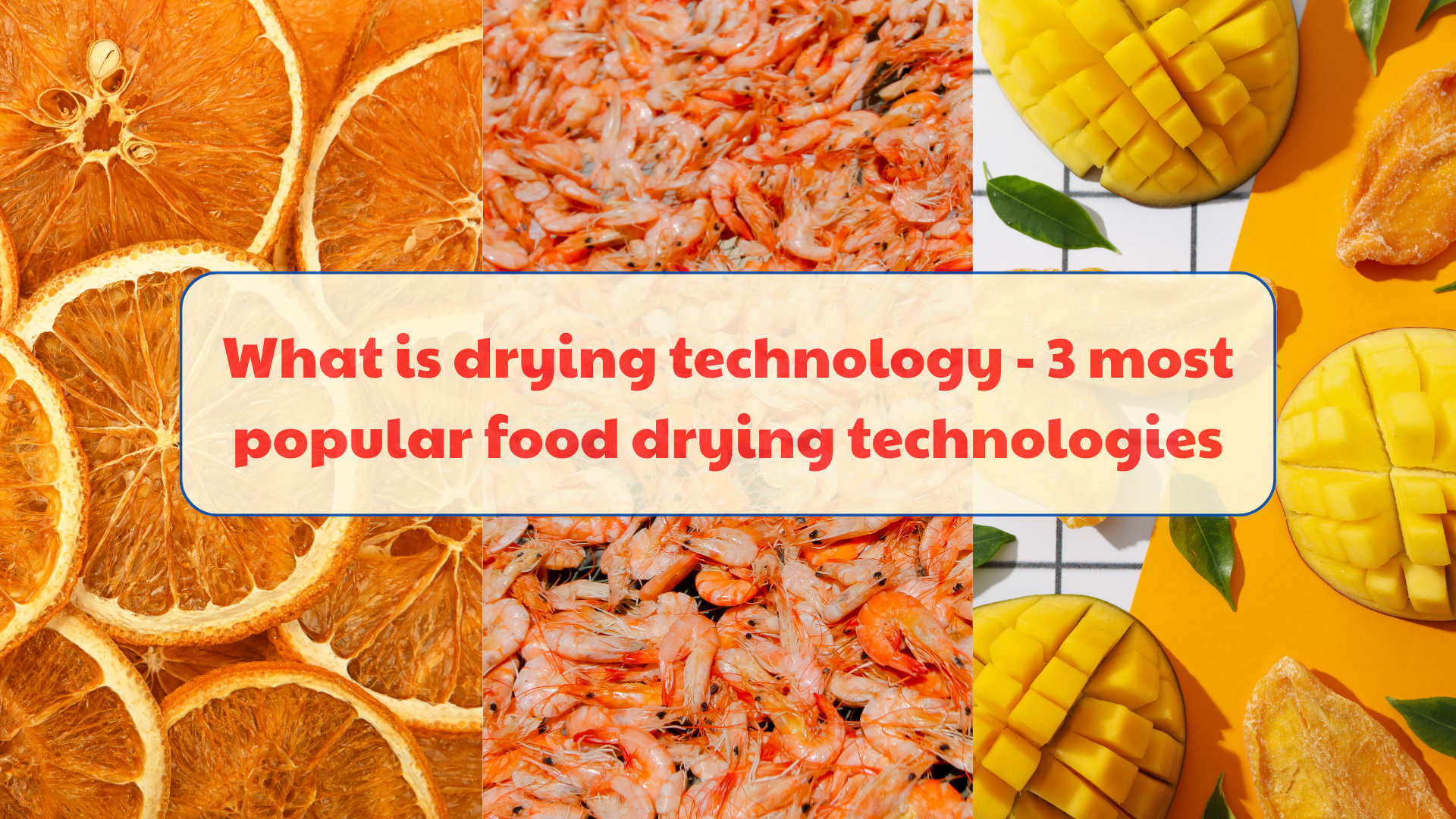 What is drying technology – 3 most popular food drying technologies in 2025