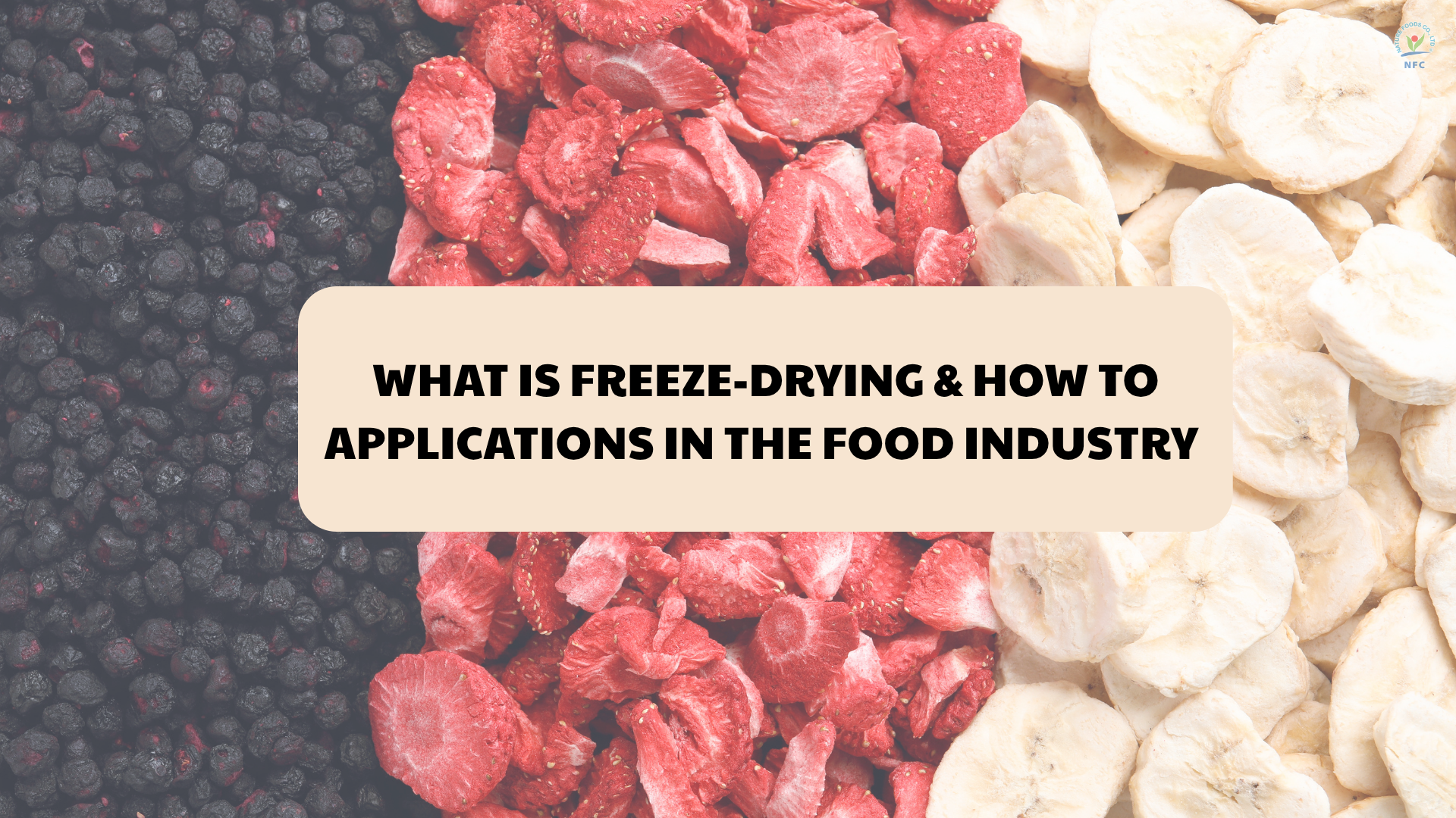 What is Freeze-Drying & How to Applications in the Food Industry