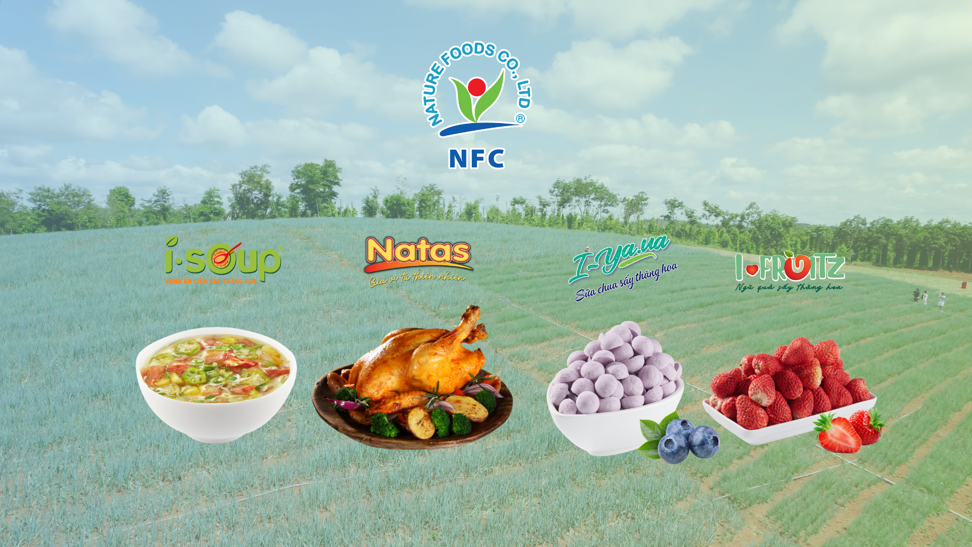 Thâm nhập vào thị trường tiêu dùng với các sản phẩm: I.SOUP; I.YAUA; I.FRUITZ và xây dựng nhà máy thứ 2