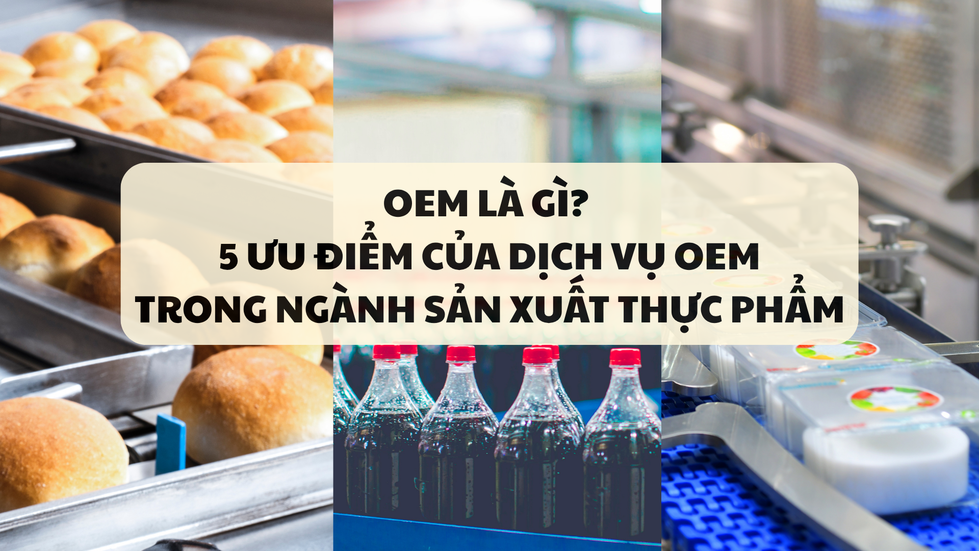 OEM là gì? 5 Lợi ích của dịch vụ OEM