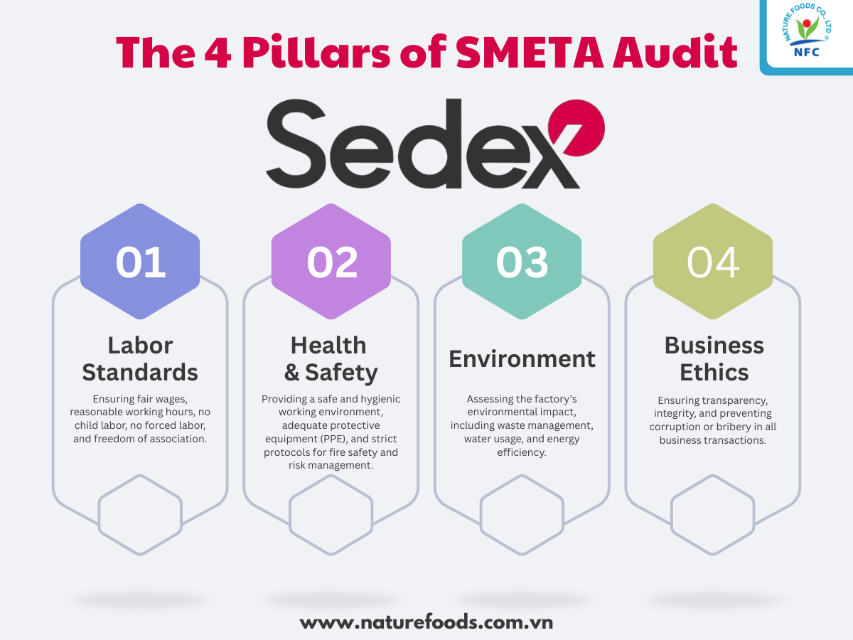 nfc-the-4-pillars-of smeta-audit