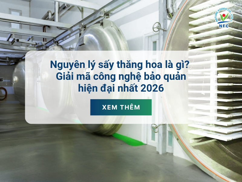 Nguyên lý sấy thăng hoa là gì? Vì sao giữ được dưỡng chất?