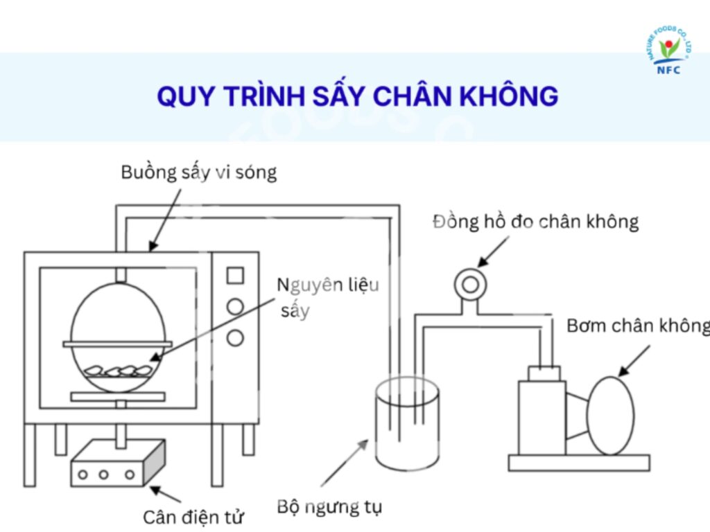 Cấu tạo buồng sấy chân không công nghiệp
