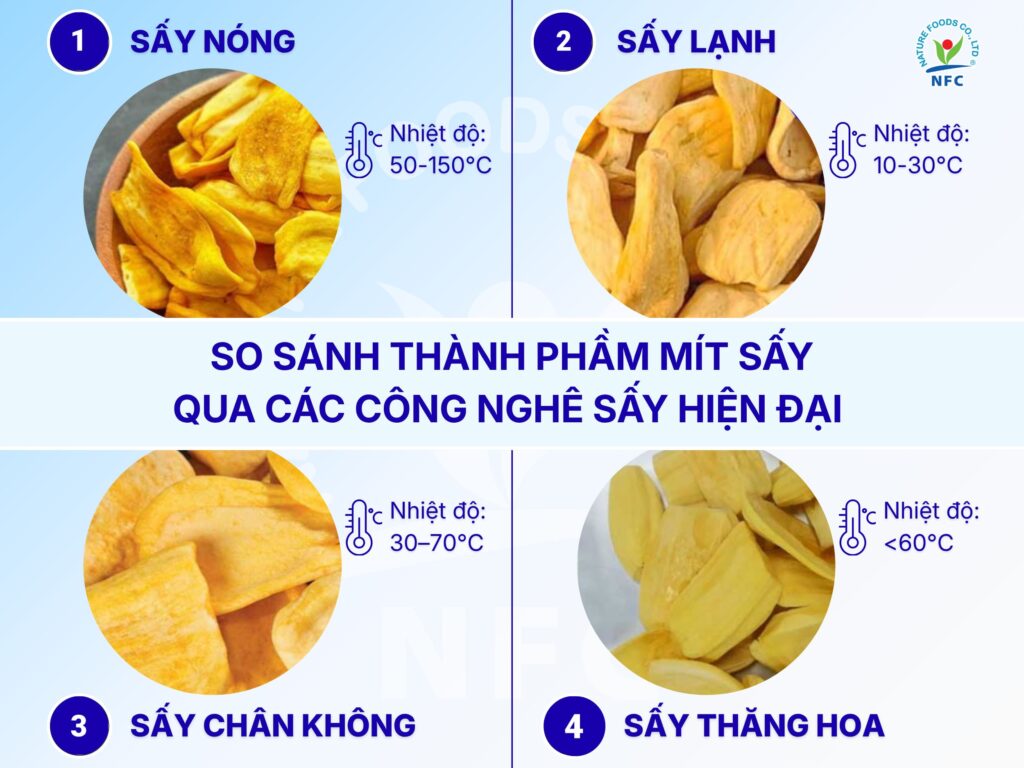 So sánh thành phầm mít sấy qua các công nghệ sấy hiện đại
