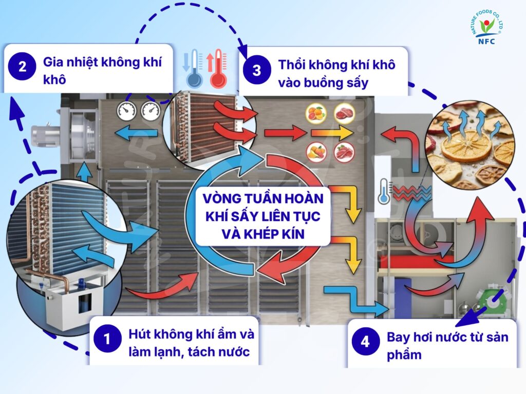 Mô tả nguyên lý hoạt động máy sấy lạnh