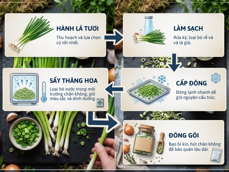Quy trình sản xuất hành lá sấy thăng hoa - Nature Foods