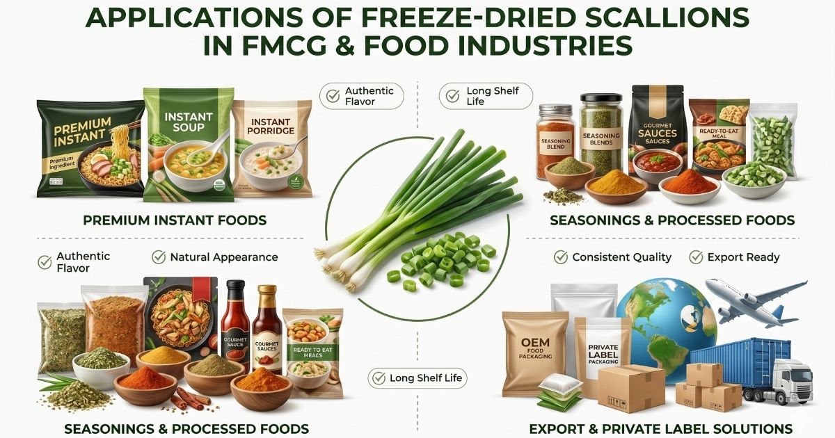 Application of freeze-dried shallots in FMCG & Food Industry - Nature Foods