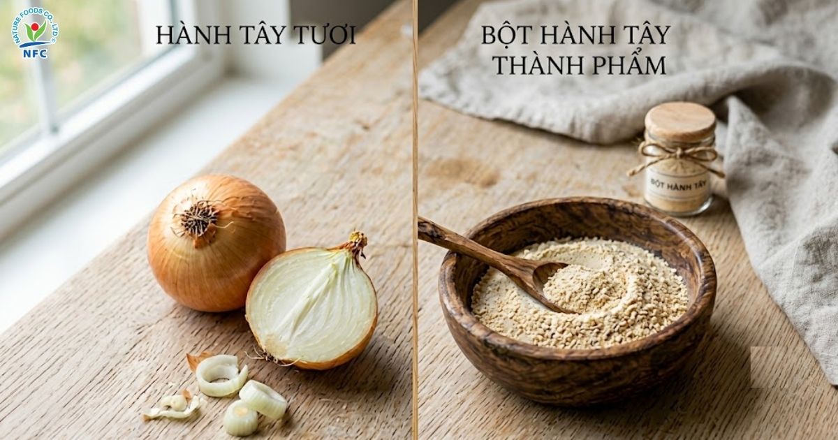 So sánh giữa bột hành tây & hành tây tươi - Nature Foods