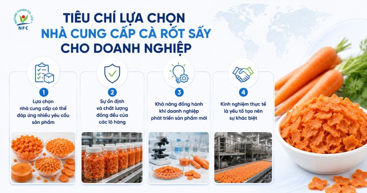 Tiêu chí lựa chọn nhà cung cấp cà rốt sấy cho doanh nghiệp - Nature Foods