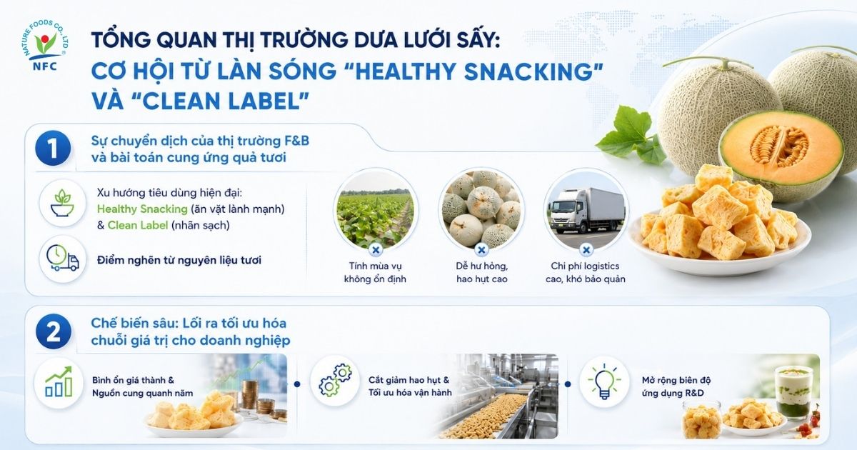 Tổng quan về thị trường dưa lưới sấy dẻo & sấy thăng hoa - Nature Foods