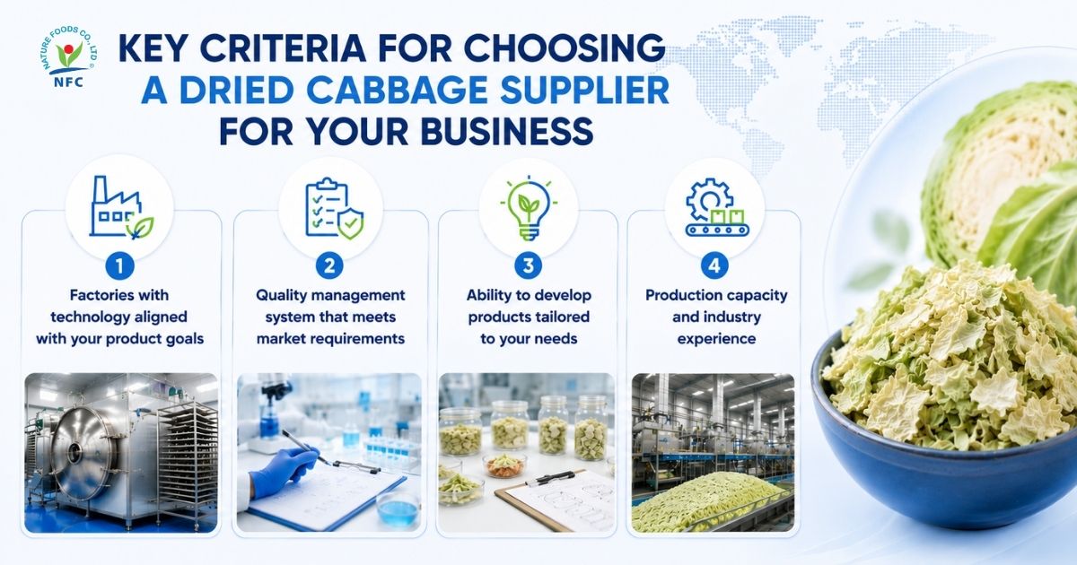 Key criteria for selecting a custom dehydrated cabbage supplier - Nature Foods