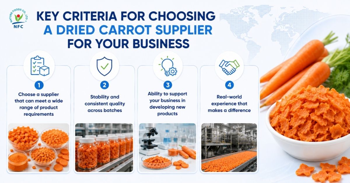 Key criteria for choosing a dried carrot supplier for business - Nature Foods