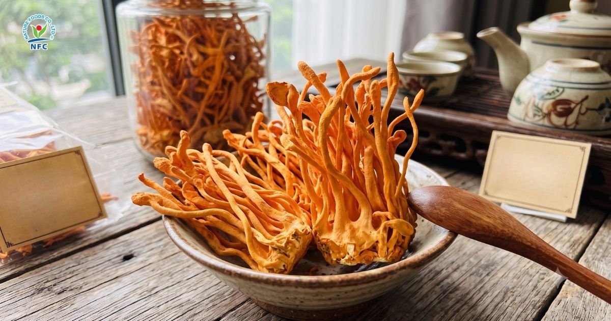 So sánh nấm đông trùng hạ thảo sấy khô và sấy thăng hoa