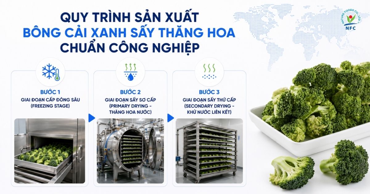 Quy trình sản xuất bông cải xanh sấy thăng hoa - Nature Foods