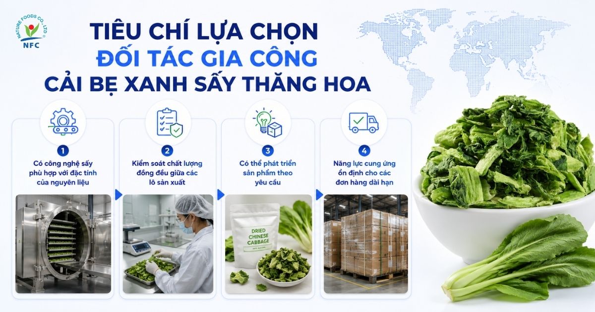 Tiêu chí lựa chọn đối tác gia công cải bẹ xanh sấy thăng hoa cho doanh nghiệp - Nature Foods