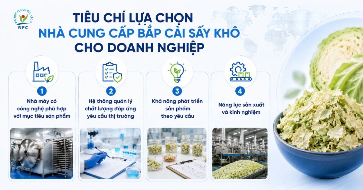 Tiêu chí lựa chọn nhà cung cấp bắp cải sấy khô cho doanh nghiệp - Nature Foods