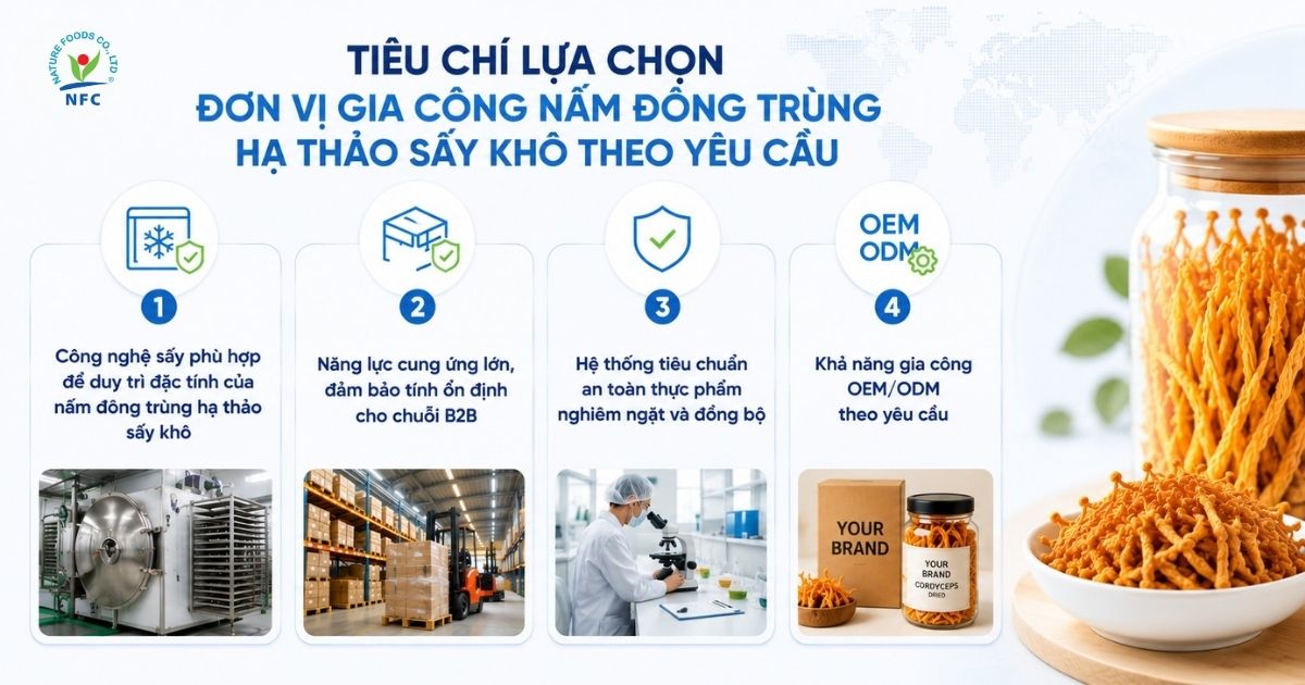 Tiêu chí lựa chọn đơn vị gia công nấm đông trùng hạ thảo sấy khô theo yêu cầu - Nature Foods