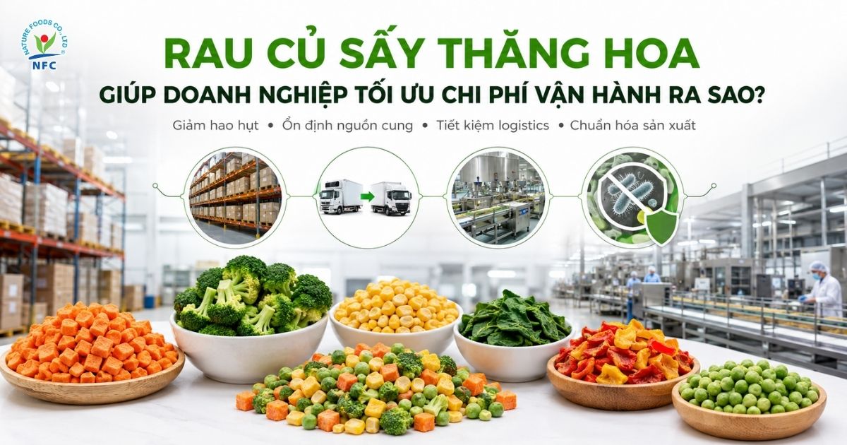 Rau củ sấy thăng hoa giúp doanh nghiệp tối ưu chi phí vận hành ra sao? - Nature Foods