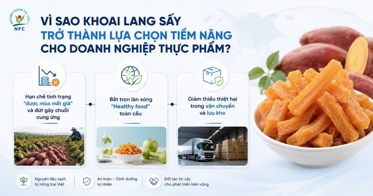 Vì sao khoai lang sấy trở thành lựa chọn tiềm năng cho doanh nghiệp thực phẩm? - Nature Foods