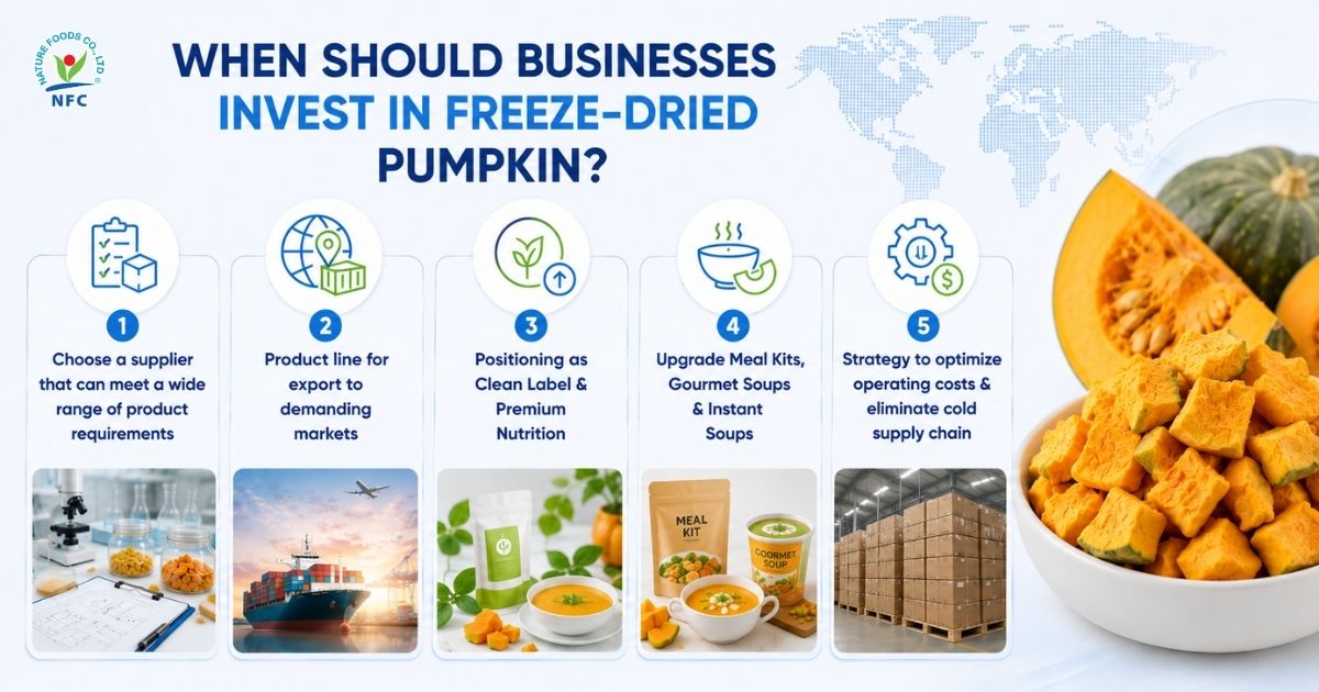 When should business invest in freeze-dried pumpkin? - Nature Foods
