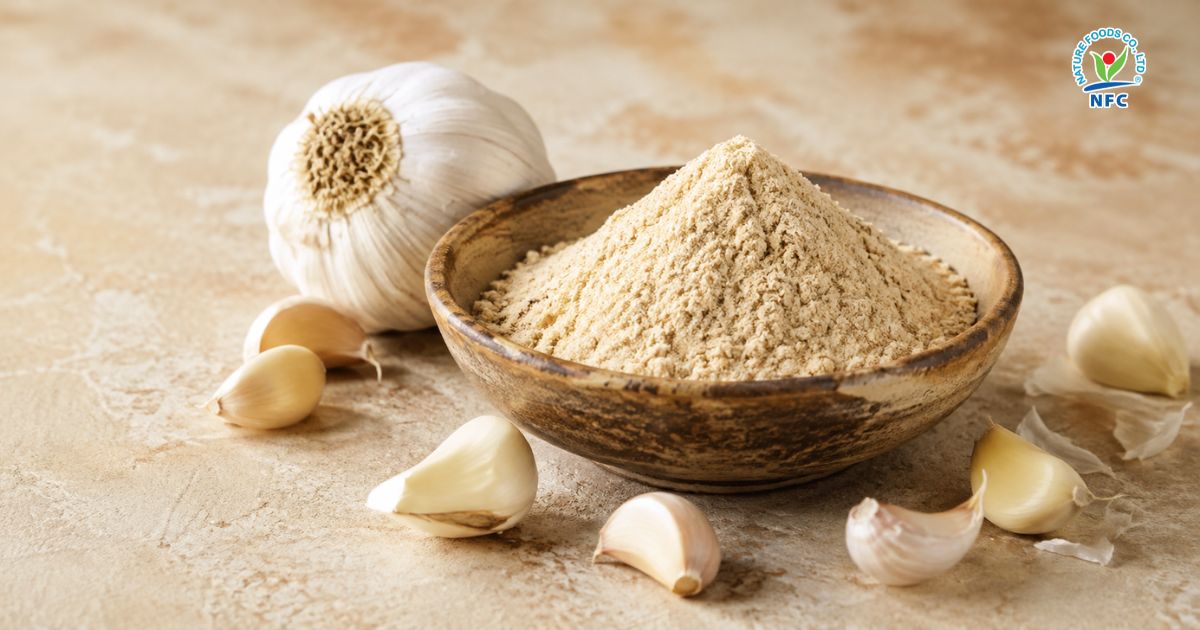Các dạng bột tỏi phổ biến trên thị trường - Nature Foods