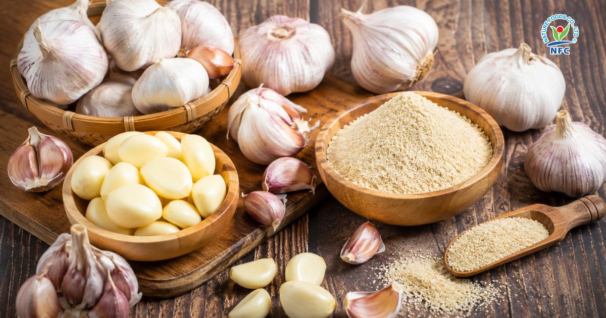Quy trình sản xuất bột tỏi - Nature Foods